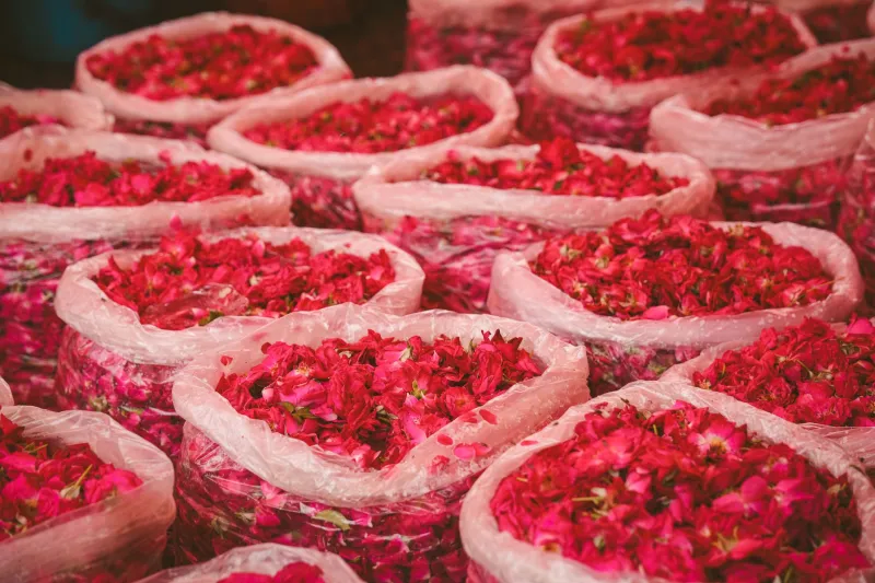 From Soil to Sillage: Tracing the Origins of a Truly Artisanal Perfume