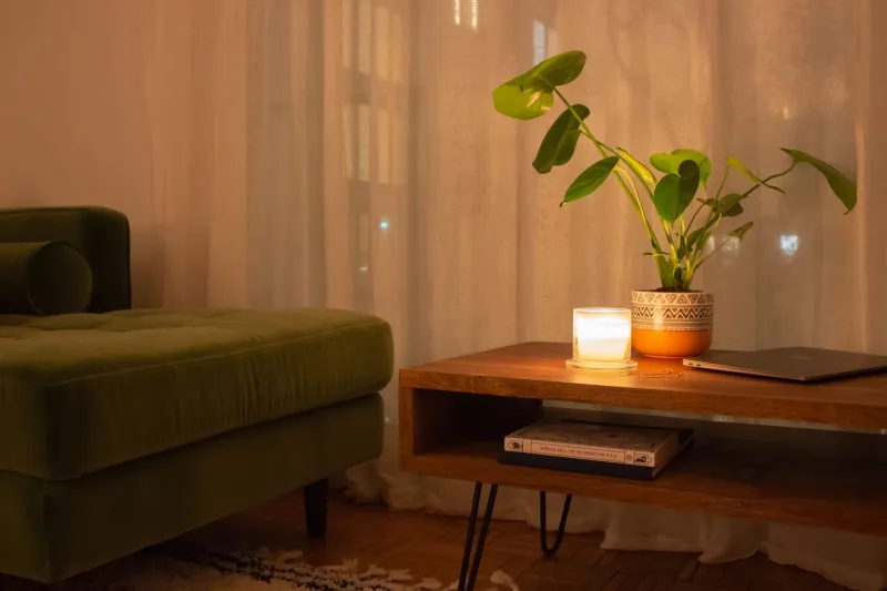 Rooms With a Point of View: The Quiet Discipline of Scent Zoning Your Home